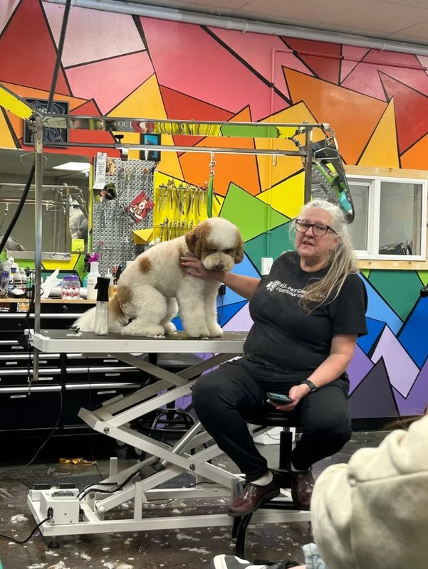 Pet grooming class in session — Utah