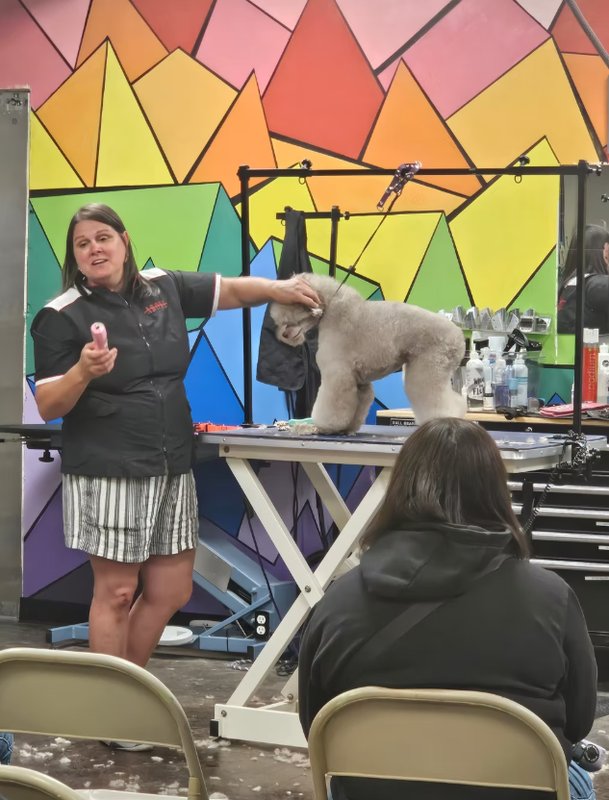 Hands-on dog grooming workshop